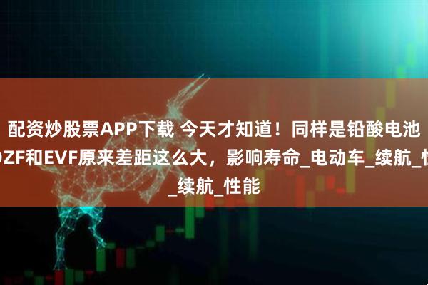配资炒股票APP下载 今天才知道！同样是铅酸电池，DZF和EVF原来差距这么大，影响寿命_电动车_续航_性能