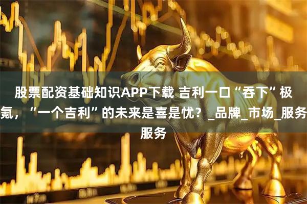 股票配资基础知识APP下载 吉利一口“吞下”极氪，“一个吉利”的未来是喜是忧？_品牌_市场_服务
